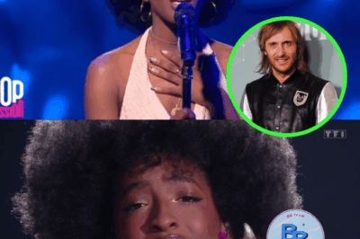 Ebony (Star Academy) a conquis tous les publics en reprenant ce tube des années 2000 ! – une énorme opportunité s’est ouverte à elle.