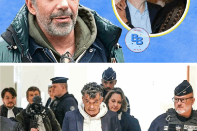 À 54 ans, Stéphane Plaza a brisé le silence et révélé la vérité sur l’amour de sa vie
