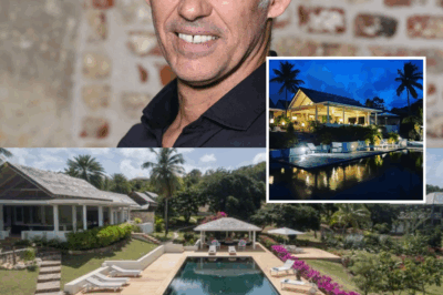 Jean-Paul Belmondo : de nombreuses pièces, avec piscine et terrasse d’observation… À quoi ressemble la villa caribéenne léguée à Paul ?