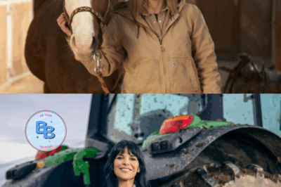 « L’amour dans le pré » : un fermier rejoint le casting à la dernière minute – Contexte choquant…