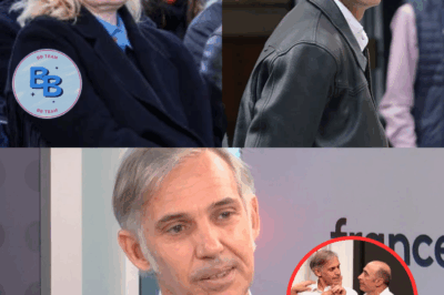 Paul Belmondo : brise la glace après son divorce de Luana, et répond aux accusations de son ex-femme