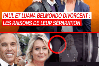 Paul et Luana Belmondo divorcent après 33 ans de mariage : les raisons de leur séparation – Voici