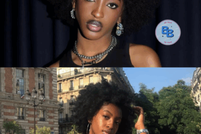 Ebony attaquée pendant la tournée Star Academy, ses camarades ne la lâchent pas : “Ces personnes-là n’ont pas leur place…”