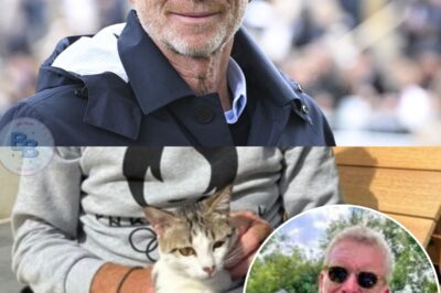 “Elle fait partie de la famille !” : Denis Brogniart donne des nouvelles de Kohlette, sa chatte recueillie lors du tournage de Koh-Lanta aux Philippines