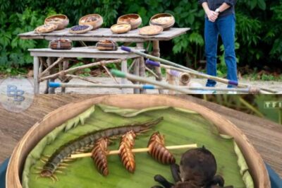 Koh-Lanta 2025 : “C’est dégueulasse !” Les aventuriers avalent des vers vivants, des mygales et des scorpions