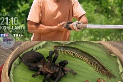 12ème épisode de “Koh-Lanta” mardi 20 mai 2025 sur TF1, les destins liés… (vidéo)