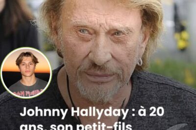 Johnny Hallyday : à 20 ans, son petit-fils Cameron Hallyday est son parfait sosie !