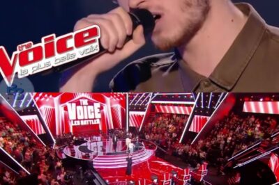 D’anciens gagnants de The Voice réunis pour un projet très spécial en hommage à Daniel Balavoine !