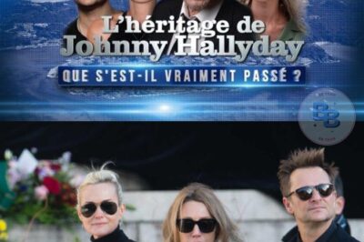 Johnny Hallyday : l’histoire cachée d’un héritage