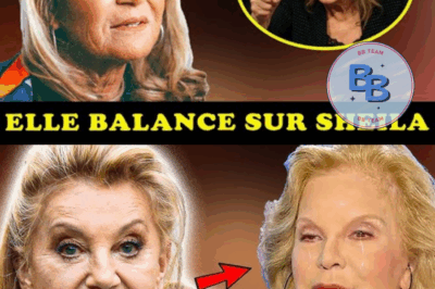 “Elle révèle TOUT à 80 ans 😱 : Sylvie Vartan brise le silence sur Sheila”