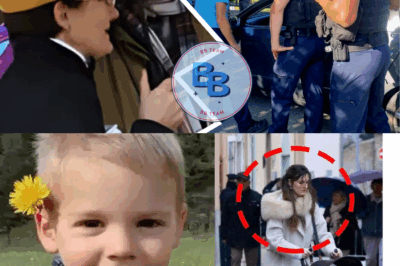 Émile disparu : l’identité de la personne qui a fait sortir le bébé de chez eux a été découverte