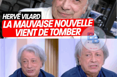 Triste fin pour une légende : Hervé Vilard vit un cauchemar éveillé