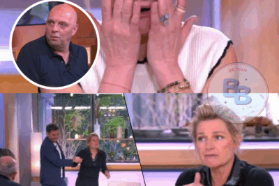 Anne Élisabeth Lemoine sombre sur le divorce brutal avec le père de son fils aîné!