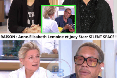 Ce moment gênant entre Anne-Elisabeth Lemoine et Joey Starr va vous surprendre !