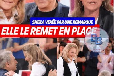 “Je ne vois pas le rapport” : Sheila rembarre Michel Drucker dans Vivement Dimanche