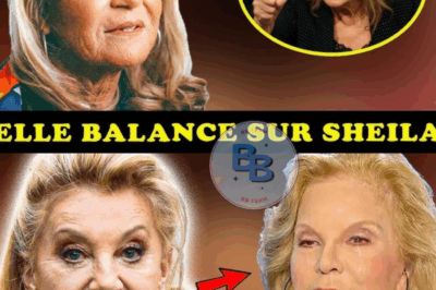 “Elle révèle TOUT à 80 ans 😱 : Sylvie Vartan brise le silence sur Sheila”