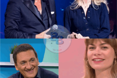 Dany Brillant parle de son modèle : après le divorce!