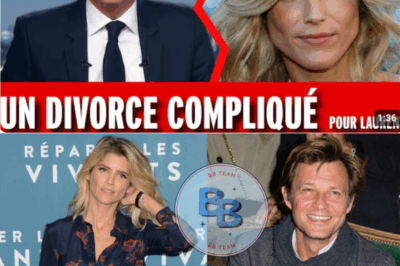 Scandale et Secrets : La Vérité Derrière le Divorce de Laurent Delahousse pour Alice Taglioni