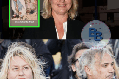 Exclusif : La photo choc de Luana Belmondo qui va faire exploser Paul Belmondo après leur divorce houleux !