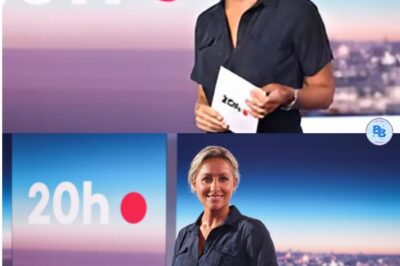 VIDÉO Deux jours après l’annonce de son départ, Anne-Sophie Lapix se lâche en plein JT de 20 heures sur France 2