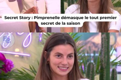Secret Story (TF1) : Pimprenelle découvre le tout premier secret de la saison et agace les internautes