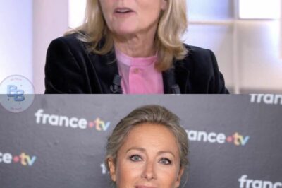 “Il faut s’en aller vite”, Anne-Sophie Lapix écartée du JT de France 2, Claire Chazal dit tout ce qu’elle en pense