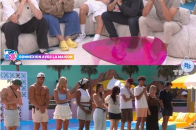 « Secret Story » : voici les quatre habitants qui ont dû rejoindre la maison de Cristal après le live de ce jeudi !