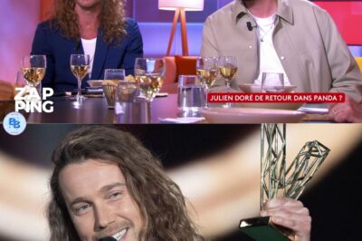 Julien Doré dévoile les coulisses de sa collaboration avec une star américaine : “Personne ne m’écoutait, sauf…”