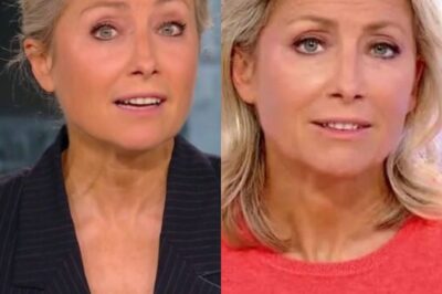 Anne-Sophie Lapix virée du 20h : cette star de France 2 se voit proposer le poste et refuse
