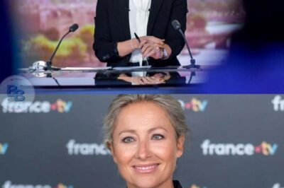 Anne-Sophie Lapix évincée du JT de France 2 : elle n’attendait en réalité que ça