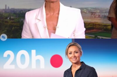 Anne-Sophie Lapix quitte le 20h : ses derniers gestes sur France 2 disent tout de ce qu’elle est vraiment