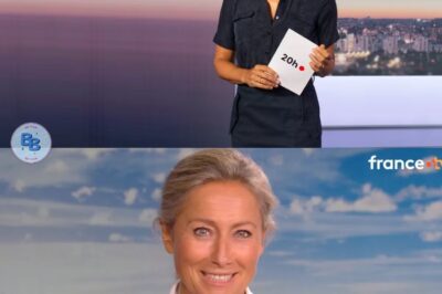 Anne-Sophie Lapix (53 ans) : voici le salaire astronomique qu’elle touchait pour présenter le JT de France 2
