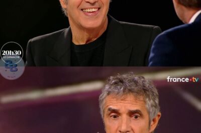 20h30 le dimanche : Julien Clerc se livre sur sa rupture avec France Gall et ce qu’il a fait pour “qu’elle revienne” (ZAPTV)