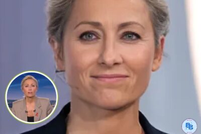 LE PLUS CHAUD EN CE MOMENT : Anne-Sophie Lapix : les raisons de son éviction du JT de France 2 enfin dévoilées