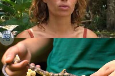« Koh-Lanta » sur TF1 : « On était sûr que le collier ne protégeait pas les deux », assure Noémie