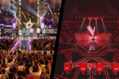 Fans de The Voice et Star Academy ? Ne passez pas à côté de cette série événement sur TF1 et Netflix