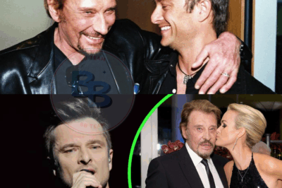 Héritage Hallyday : “Une histoire finie qui saoule les gens” pour David Hallyday
