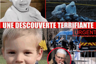 Affaire Emile : la conclusion choc après 20 mois d’enquête – personne ne s’y attendait…