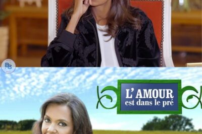 Une ambition intime : Karine Le Marchand réagit aux faibles audiences