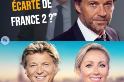 Laurent Delahousse lui aussi évincé du JT de 20 Heures ? La réponse est enfin connue