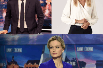 Après la mort soudaine de Thierry Ardisson qui a créé une tempête médiatique, et le remplacement de son épouse Audrey Crespo-Mara par Jean-Baptiste Boursier et Amélie Carrouër à la tête de TF1, cela a créé des avis contradictoires au sein de la communauté en ligne, qui a explosé violemment.