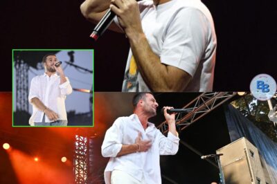 Amir pris pour cible en plein concert, le show interrompu, que s’est-il passé ?