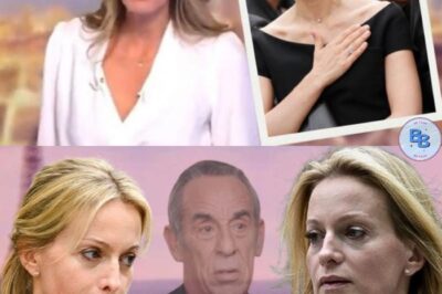 Mort de Thierry Ardisson : quand Audrey Crespo-Mara fera-t-elle son retour au JT de TF1 ?