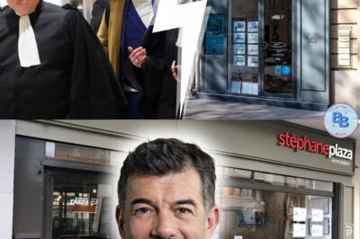 Stéphane Plaza sorti de prison : Après la fermeture de plus de la moitié de ses agences immobilières, quel futur pour ses franchisés ?