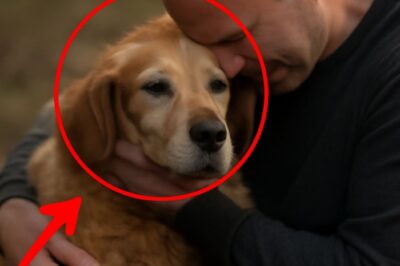 “Un chien qui a lutté toute sa vie : Ses derniers instants dans les bras de son maître”