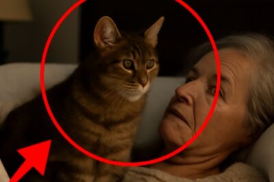 “Comment mon chat a su avant moi que ma fin approchait : Le lien mystérieux entre l’homme et son animal”