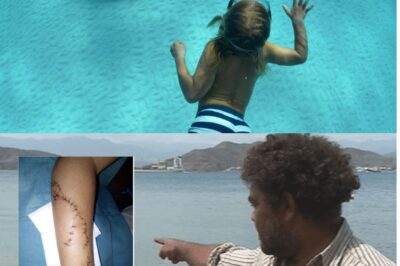 Polynésie française : Un enfant de 7 ans mordu par un requin