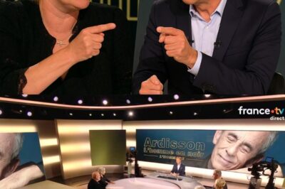 Mort de Thierry Ardisson : Stéphane Bern et Maïtena Biraben se chamaillent pendant son émission hommage sur France 2