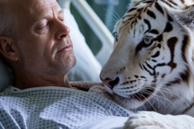 Un tigre s’approche du lit d’un vieil homme mourant… ce qu’il fait ensuite bouleverse le monde entier