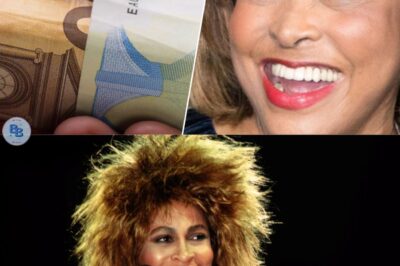Tina Turner : Où en est la succession de son immense fortune, estimée à 270 millions de dollars ?